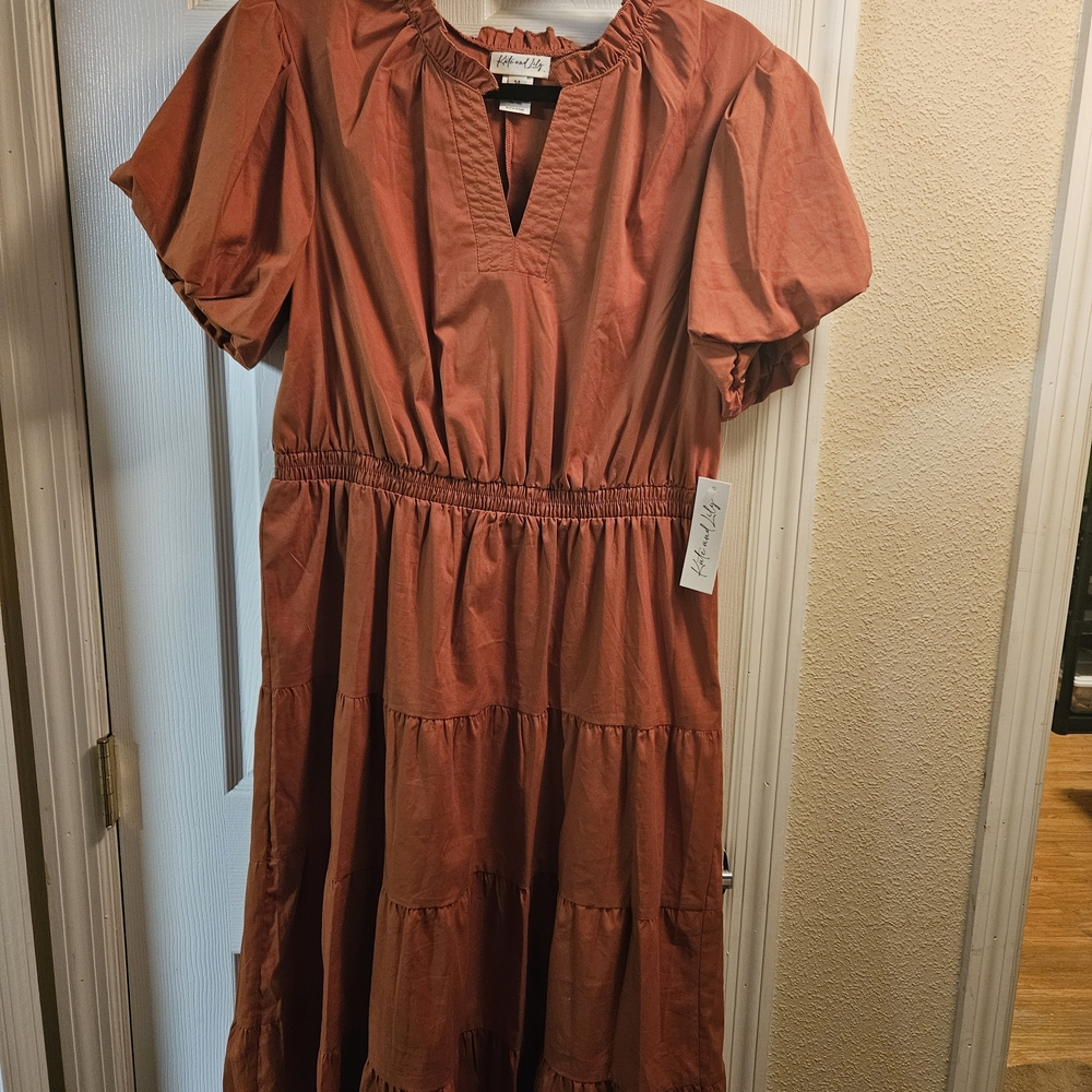 Chic Rust Midi Dress